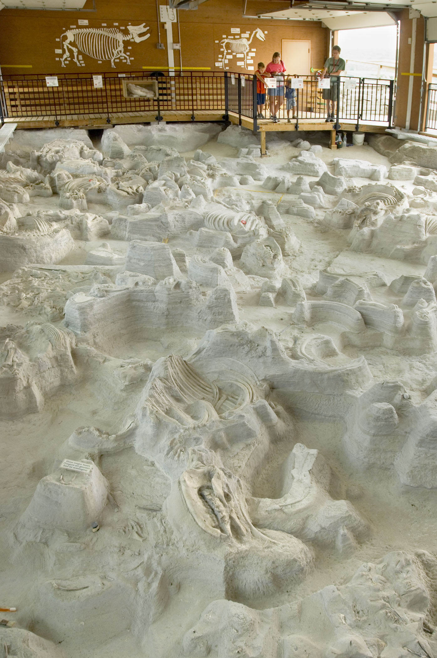 Ashfall Fossil Beds State Historical Park in Royal, Nebraska