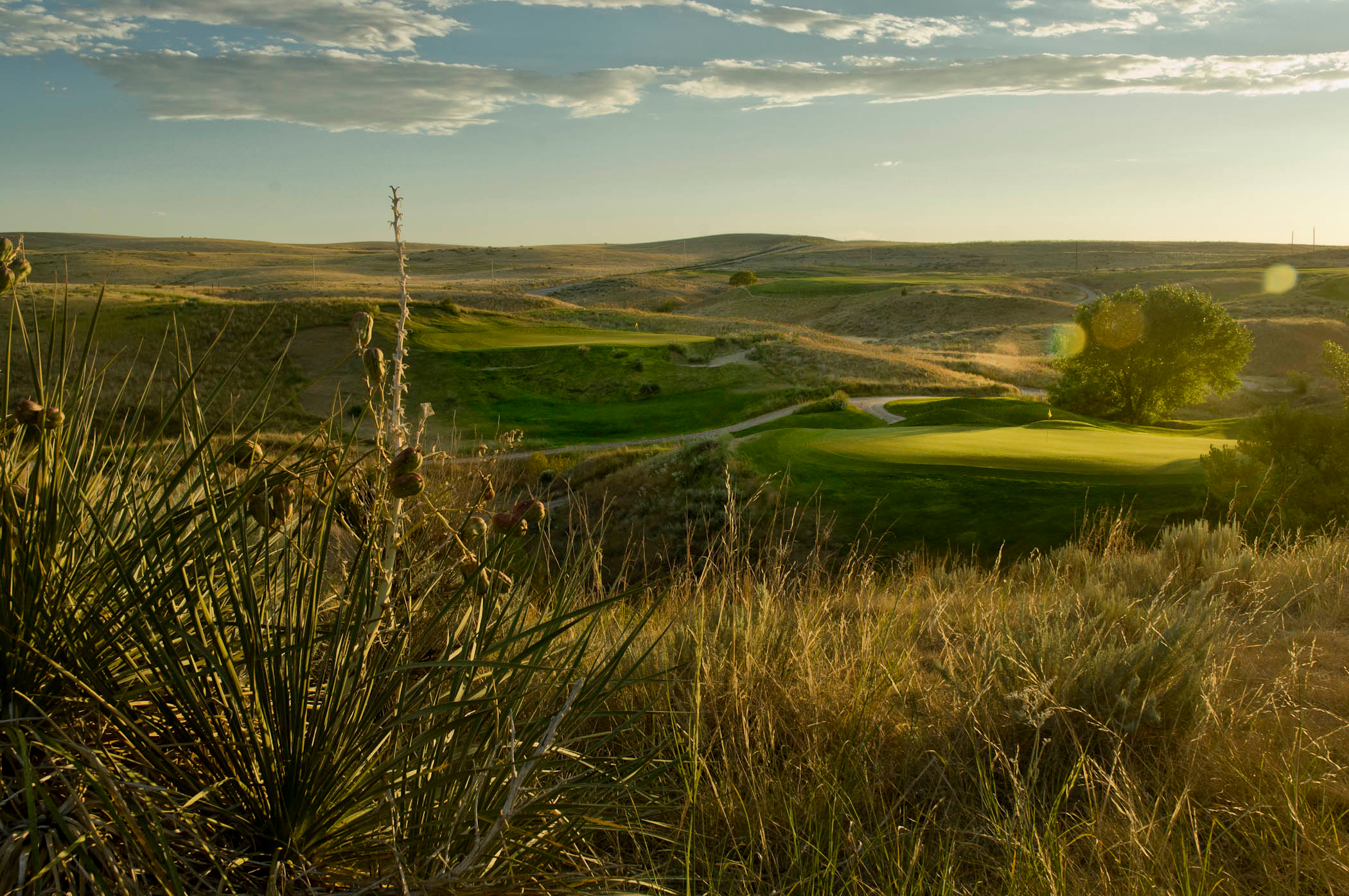Bayside Golf