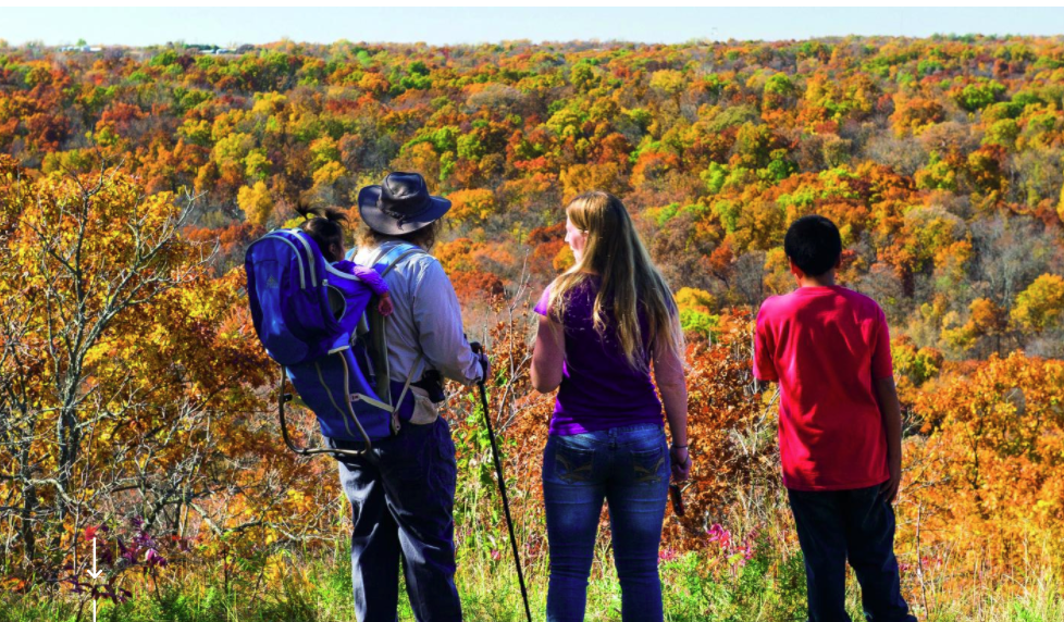 Backpackers looking over fall foliage.