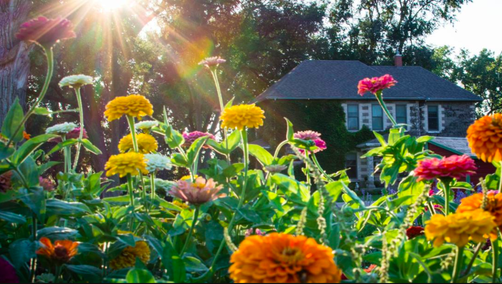 Simpler Thymes Flower Farm