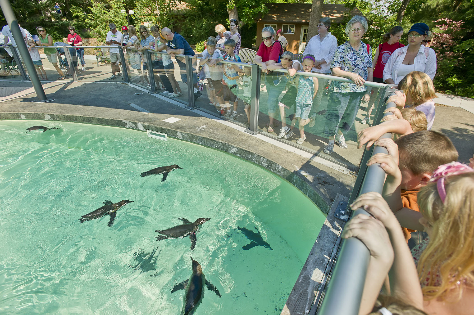 Groups look on a penguin exhibit at Lincoln Children's Zoo. |Rick Neibel / Nebraska Tourism.