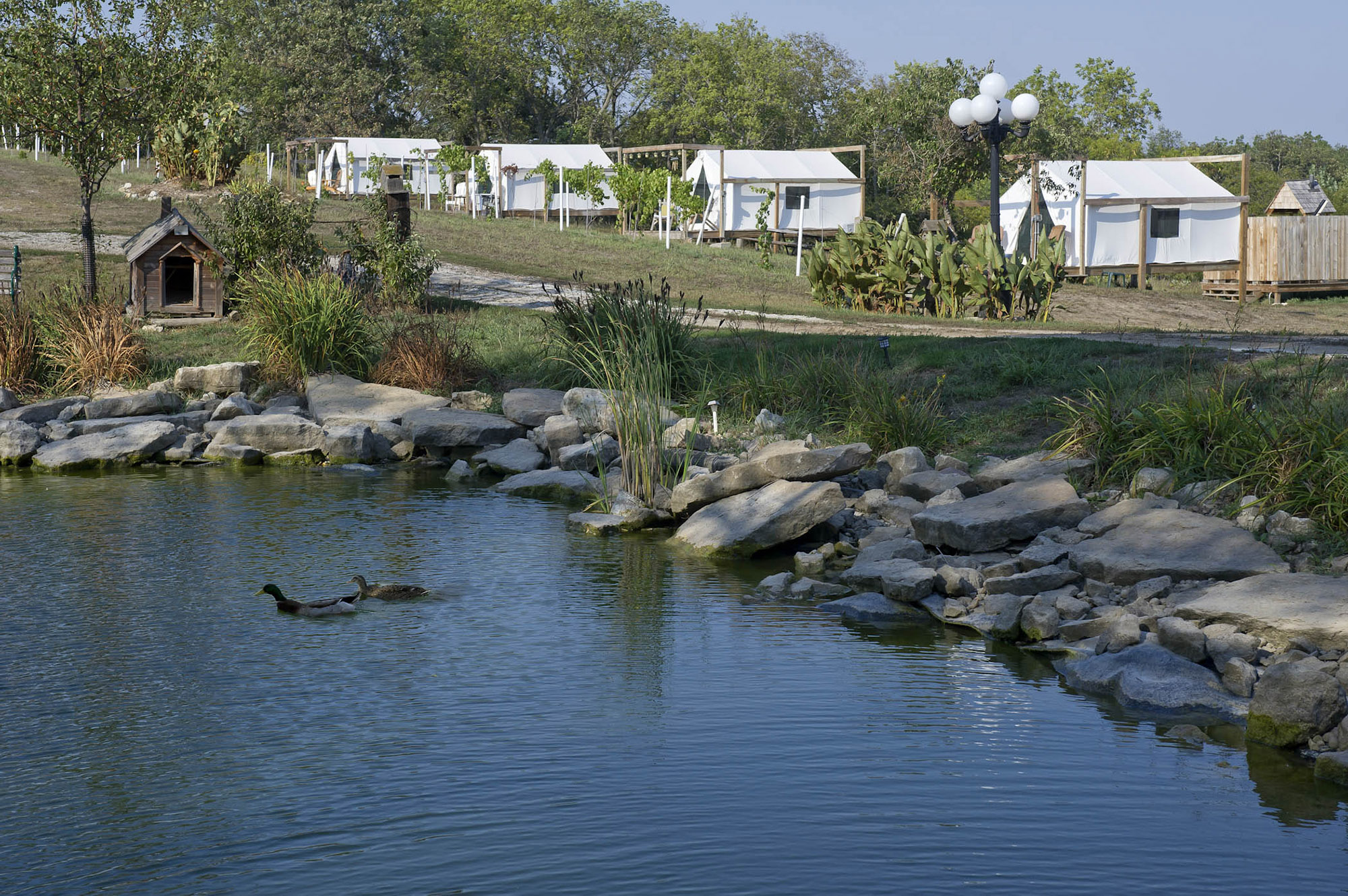 Yurt-style bungalows at Slattery Vintage Estates. 