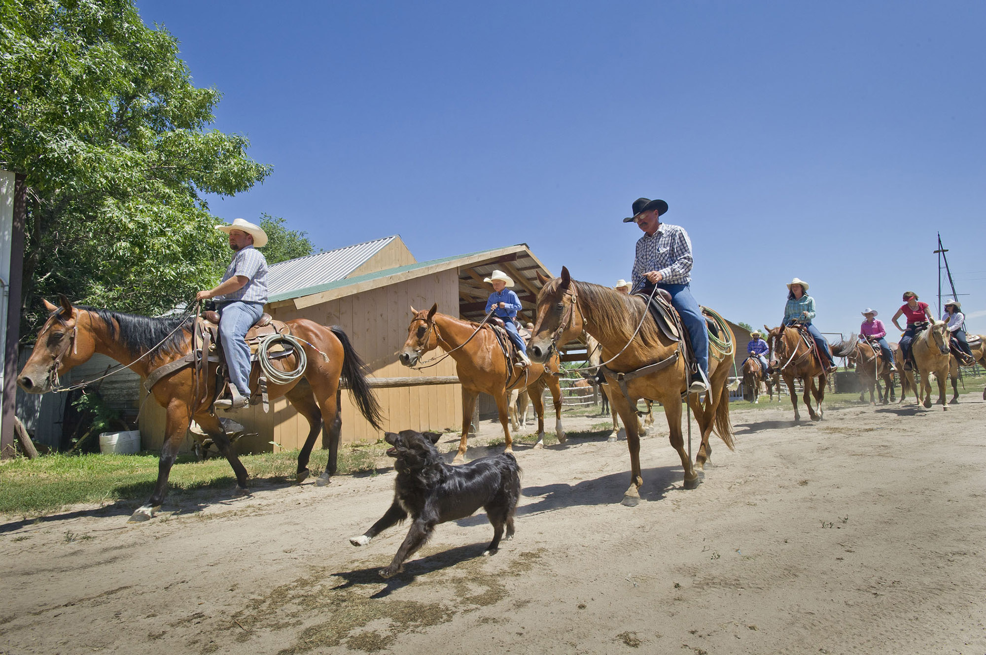 Horseback riders at Rowse's 1+1 Ranch. 