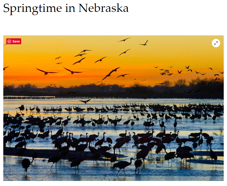 Springtime in Nebraska