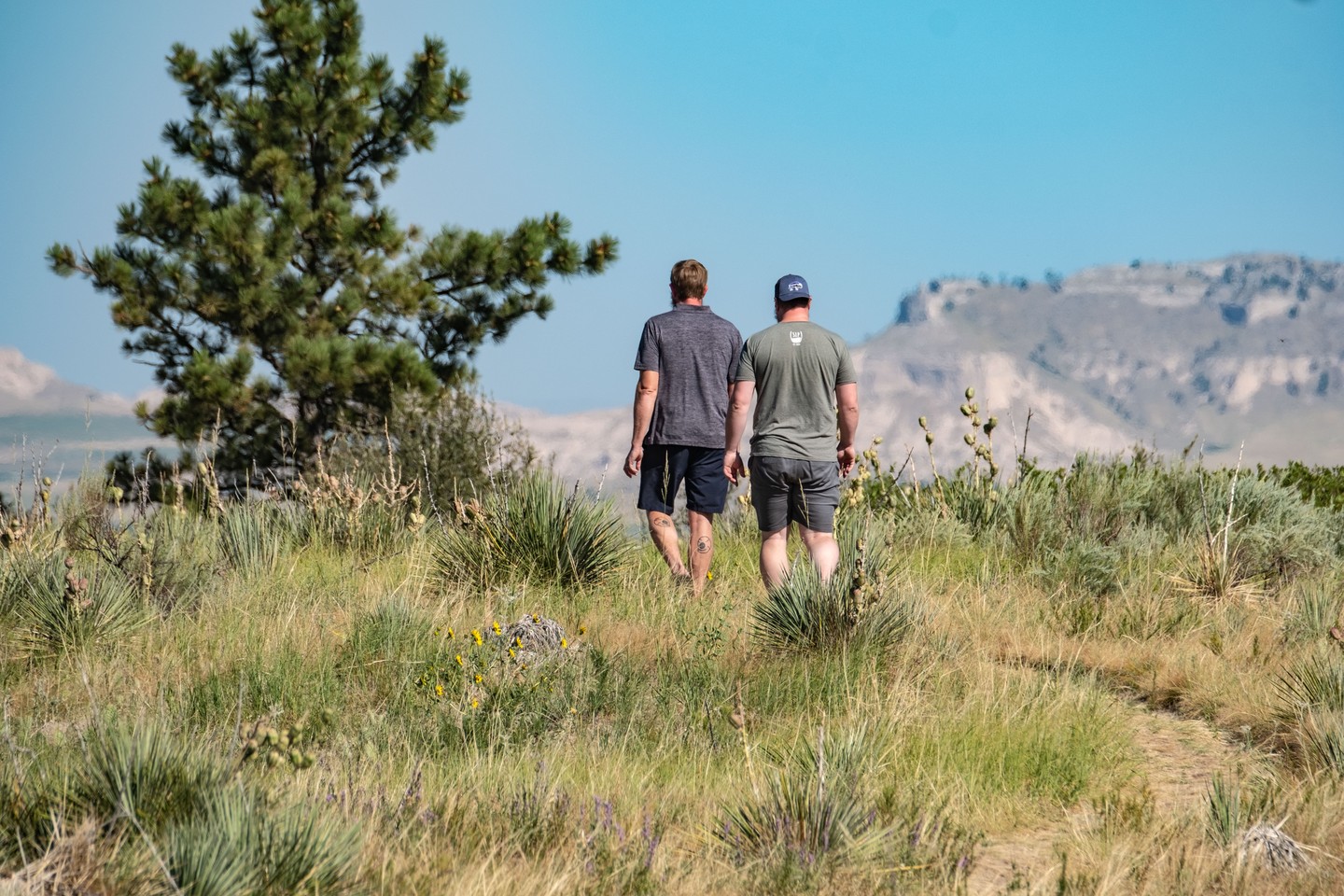 wildcat hills hiking