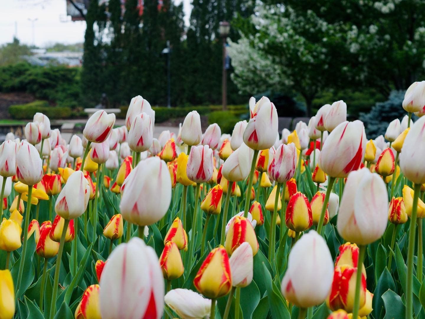 Sunken Gardens
