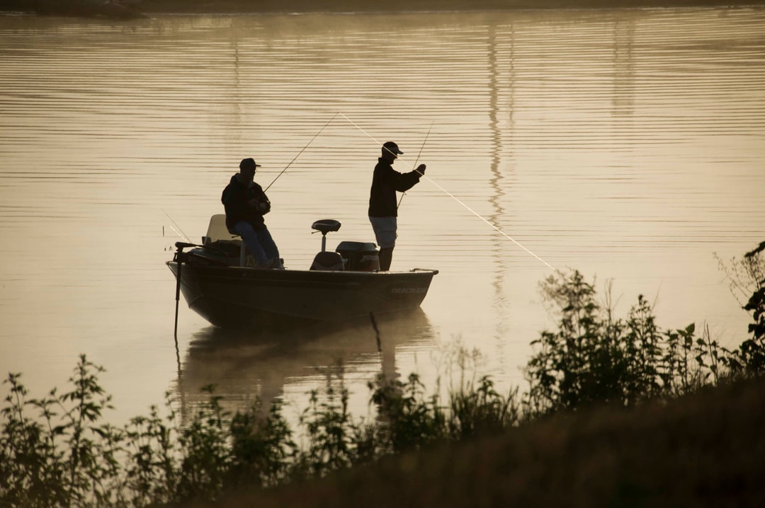Fishing