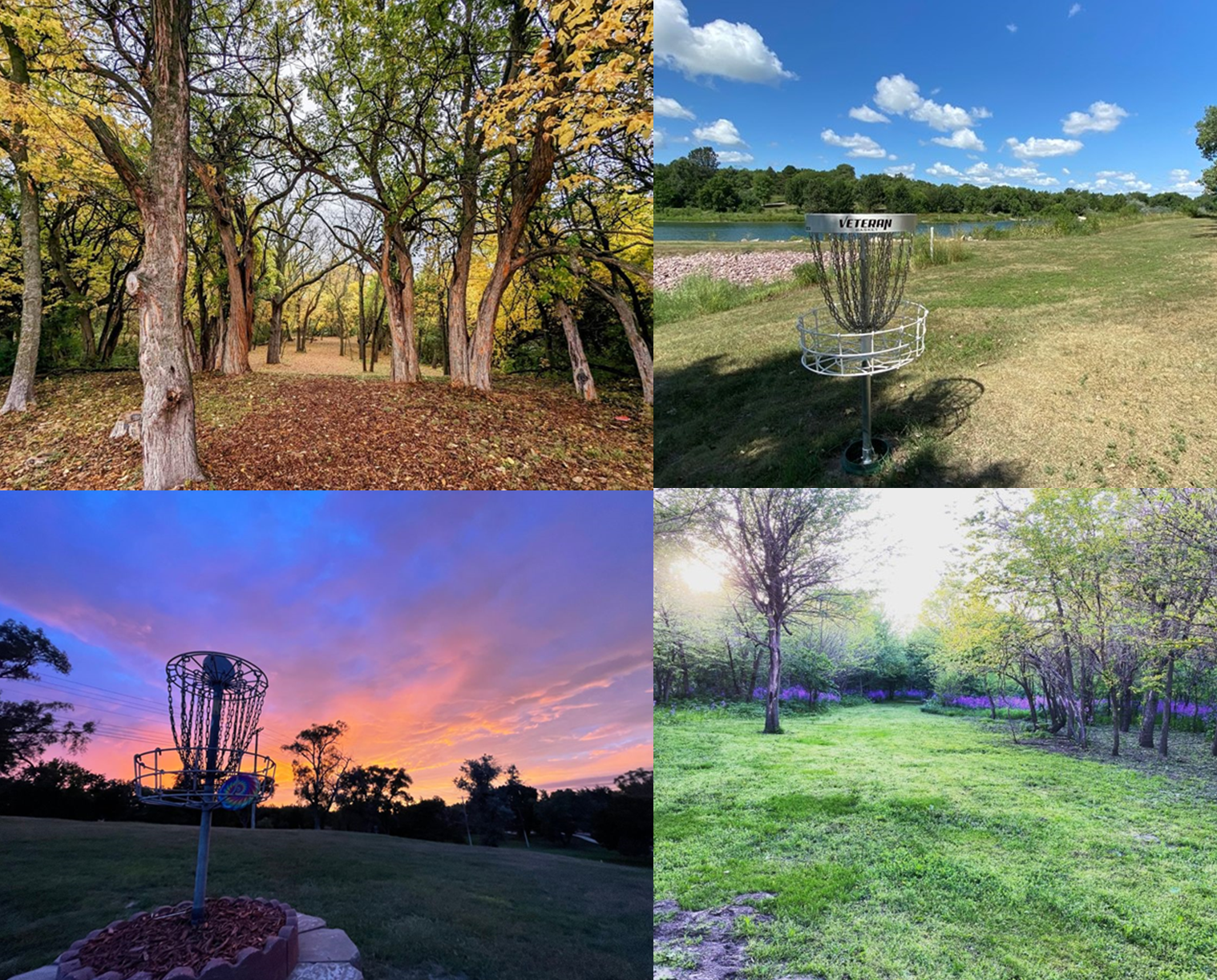 Disc golf header