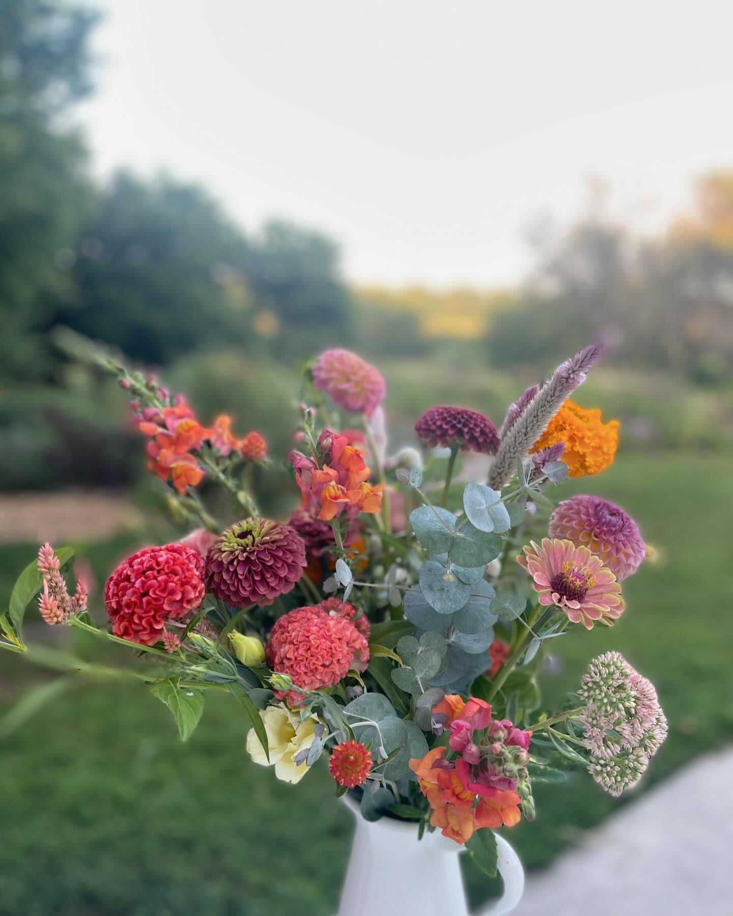 harvest home flowers