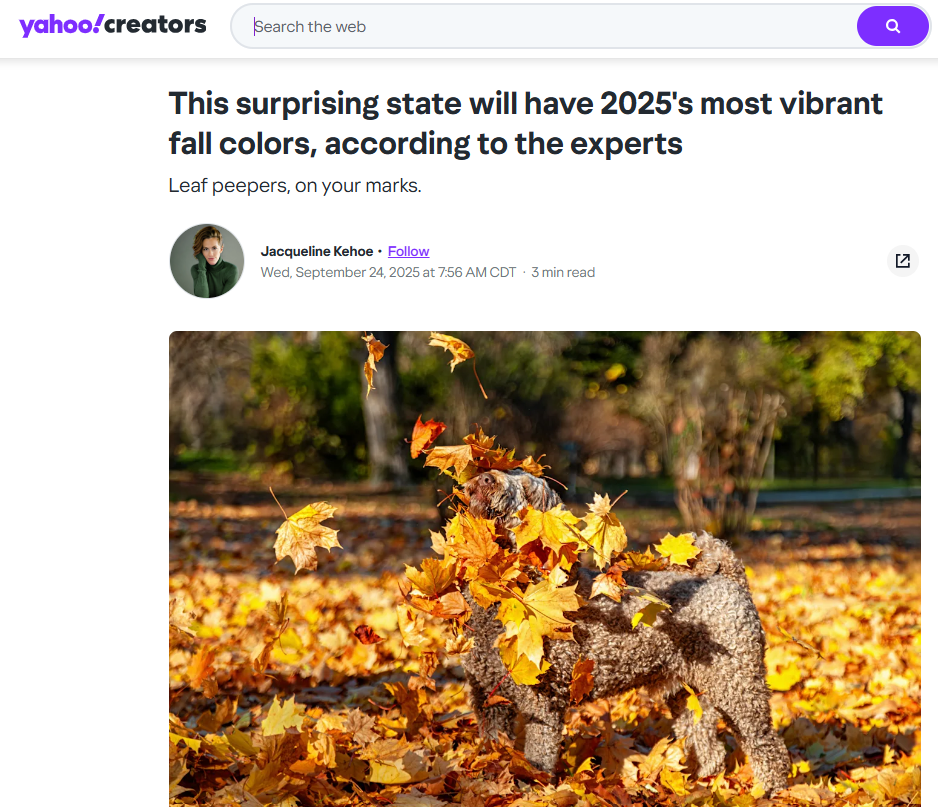 fall foliage