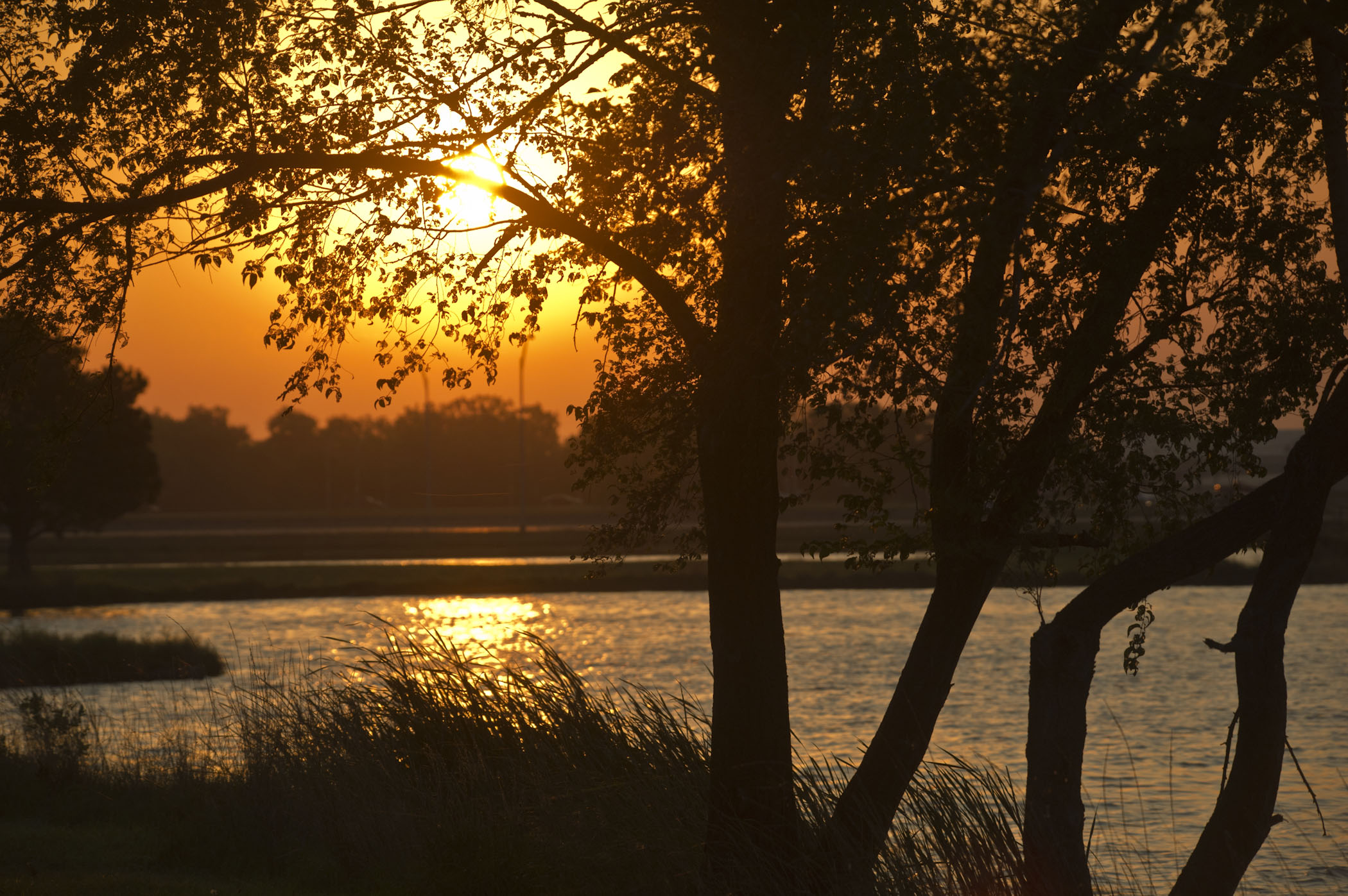 oak lake sunrise