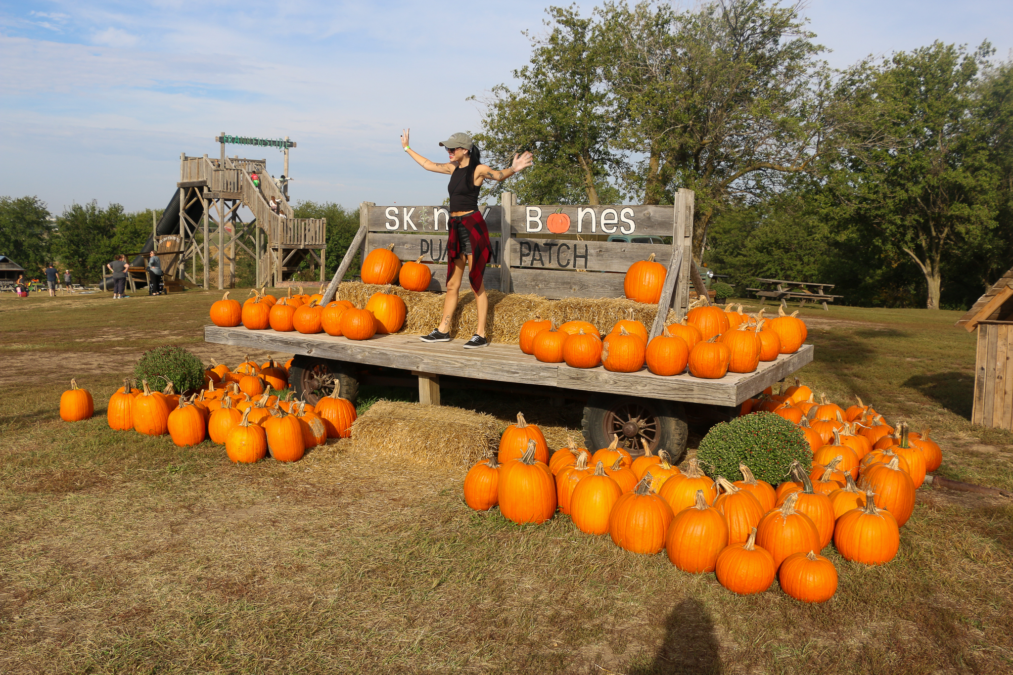 Pumpkins