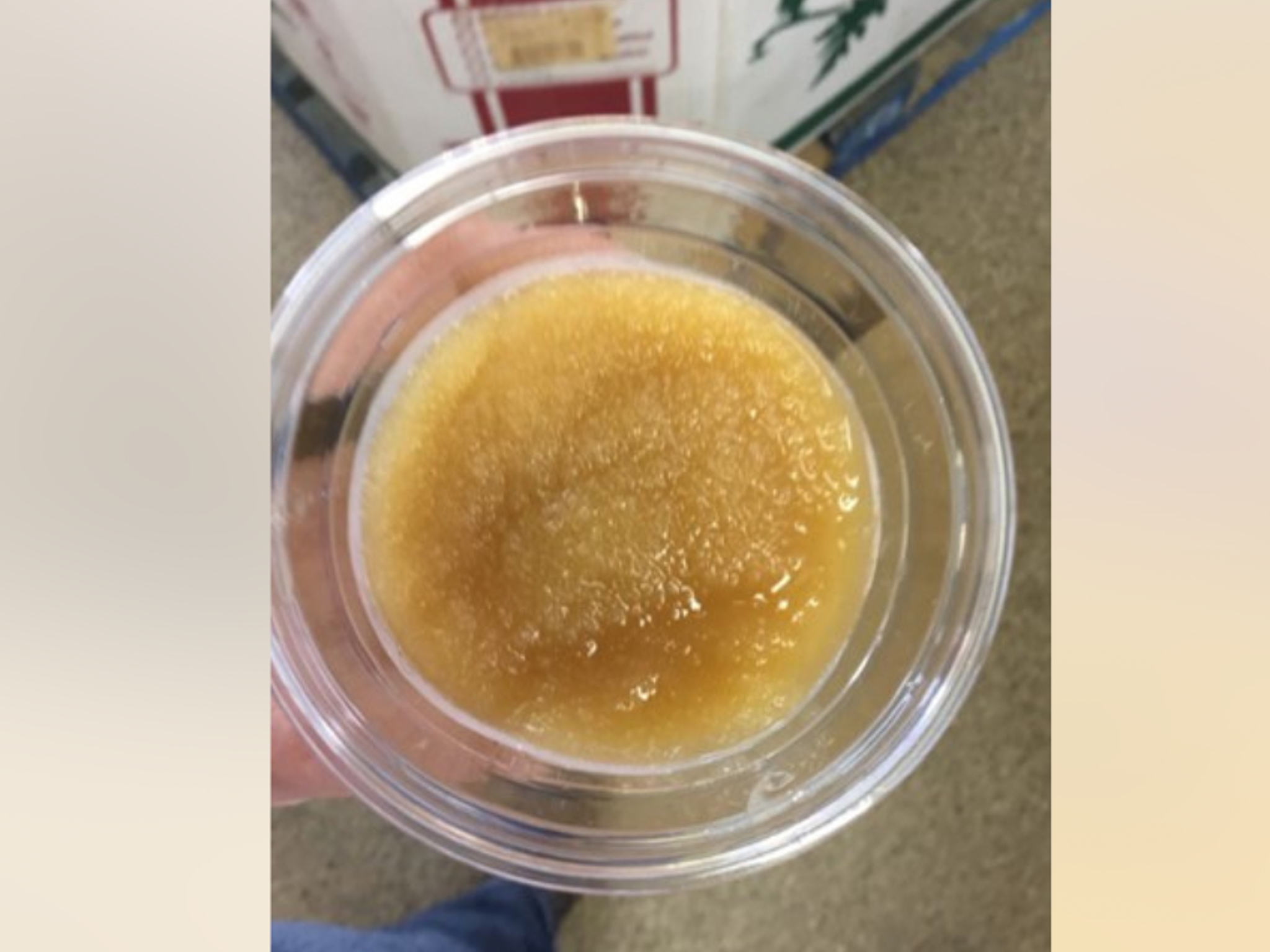 A cider slushie from Wostrel Family's Union Orchard.