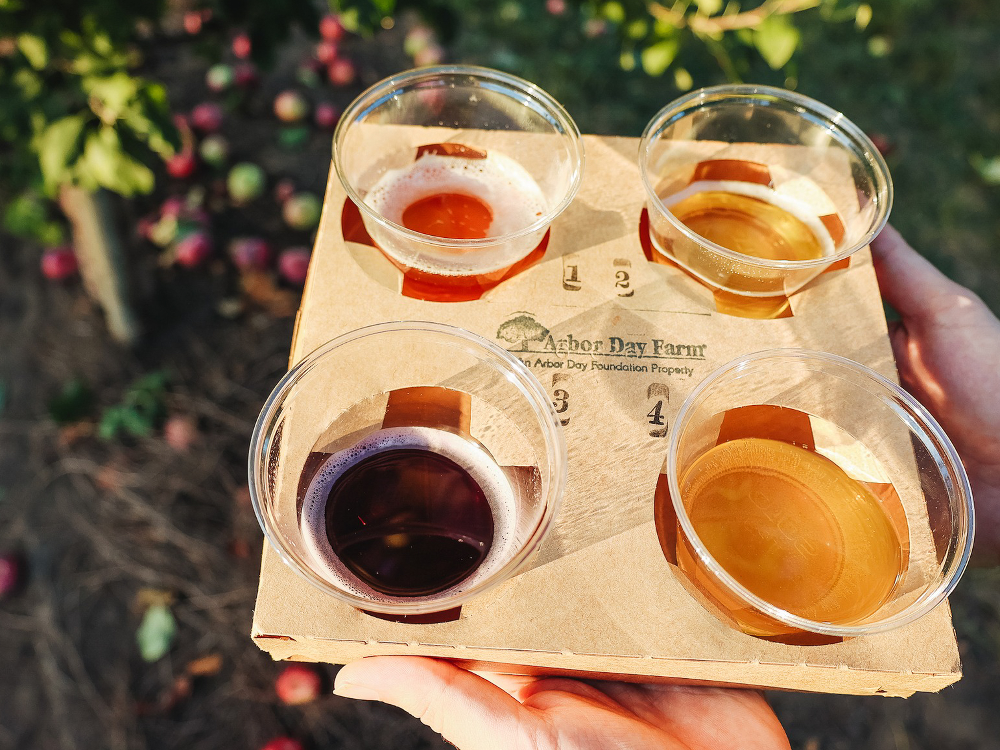 A cider flight from Arbor Day Farm. 