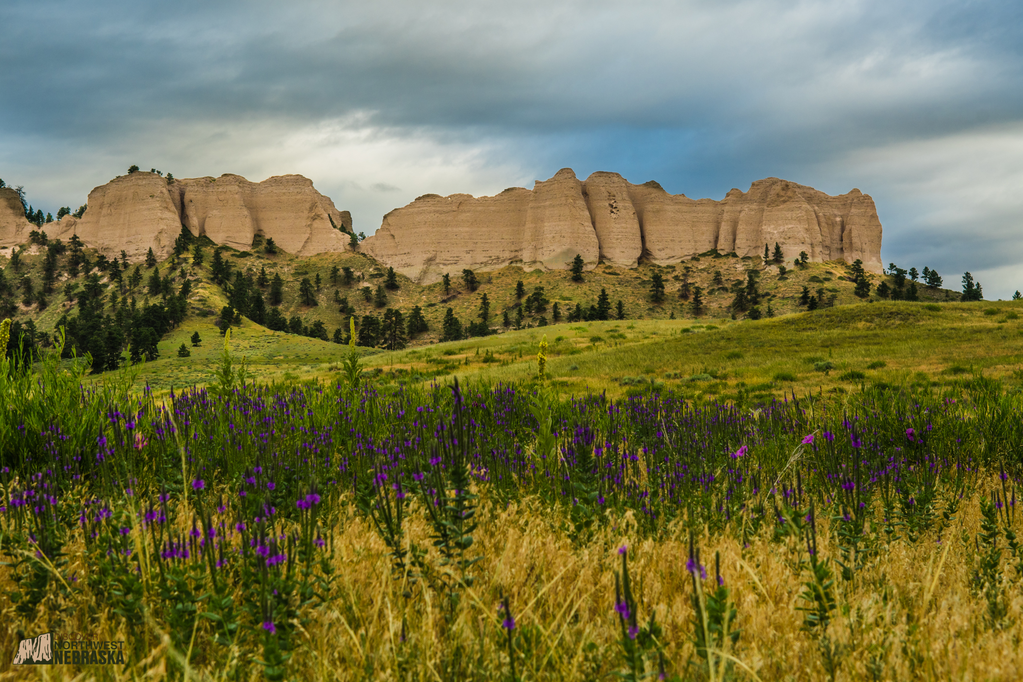 Massive bluffs with purple flowers in the foreground on an overcast day at Fort Robinson State Park.
