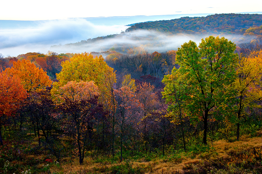 fall colors