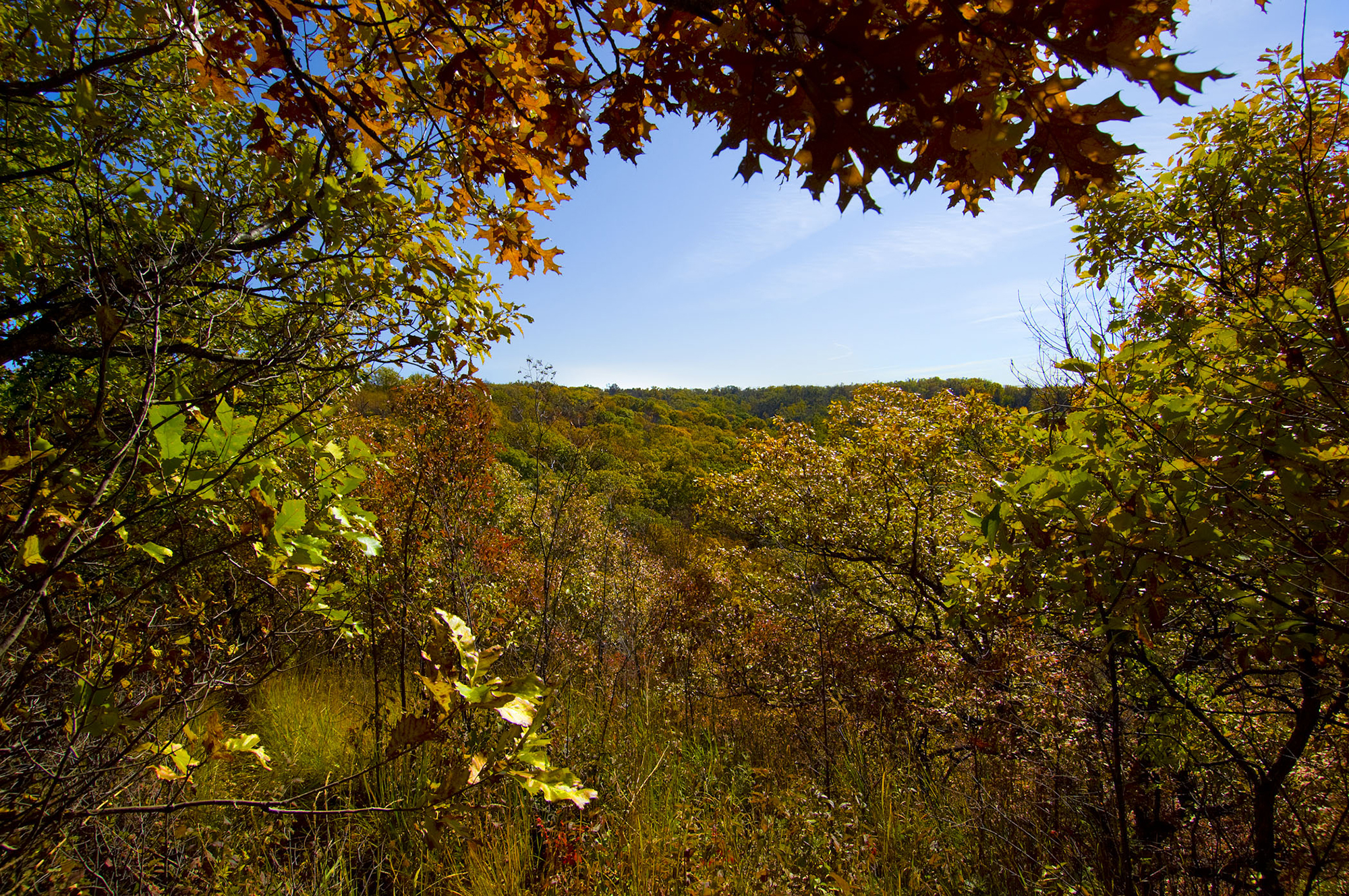 Fall foliage at Indian Cave State Park. 