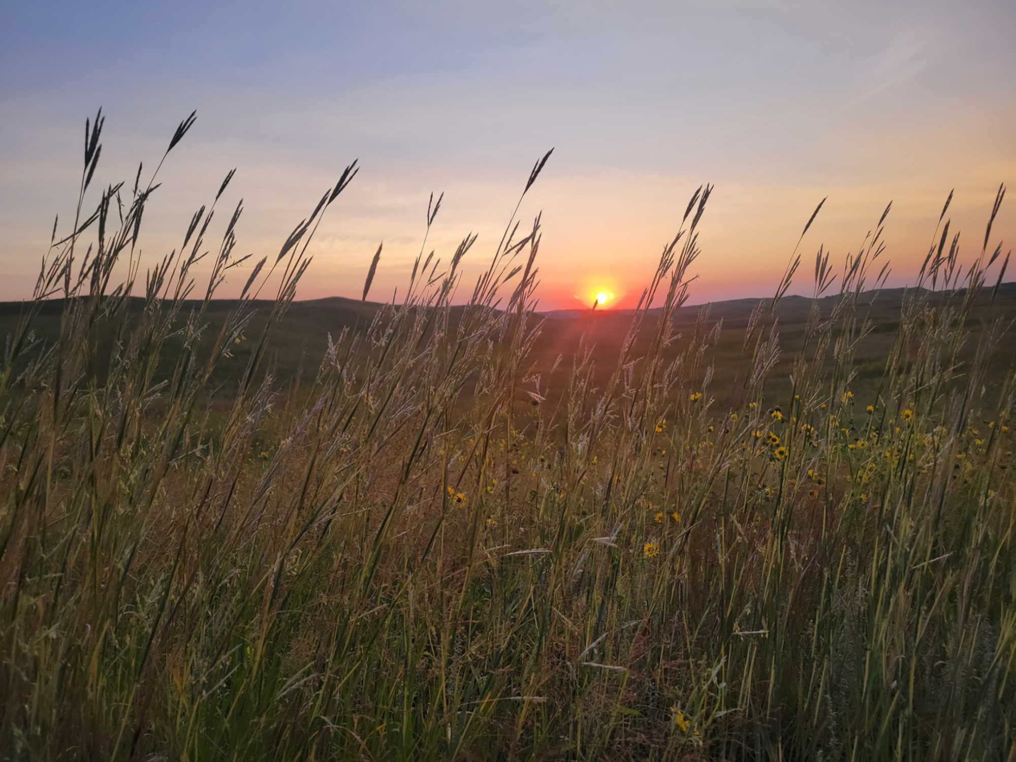 Sunset over the rolling sandhills at Niobrara Valley Vineyards.