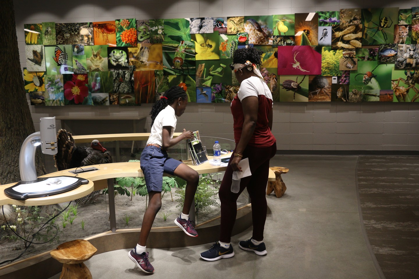 A mother and daughter looking at displays inside the Schramm Park State Recreation Area and Education Center in Gretna.