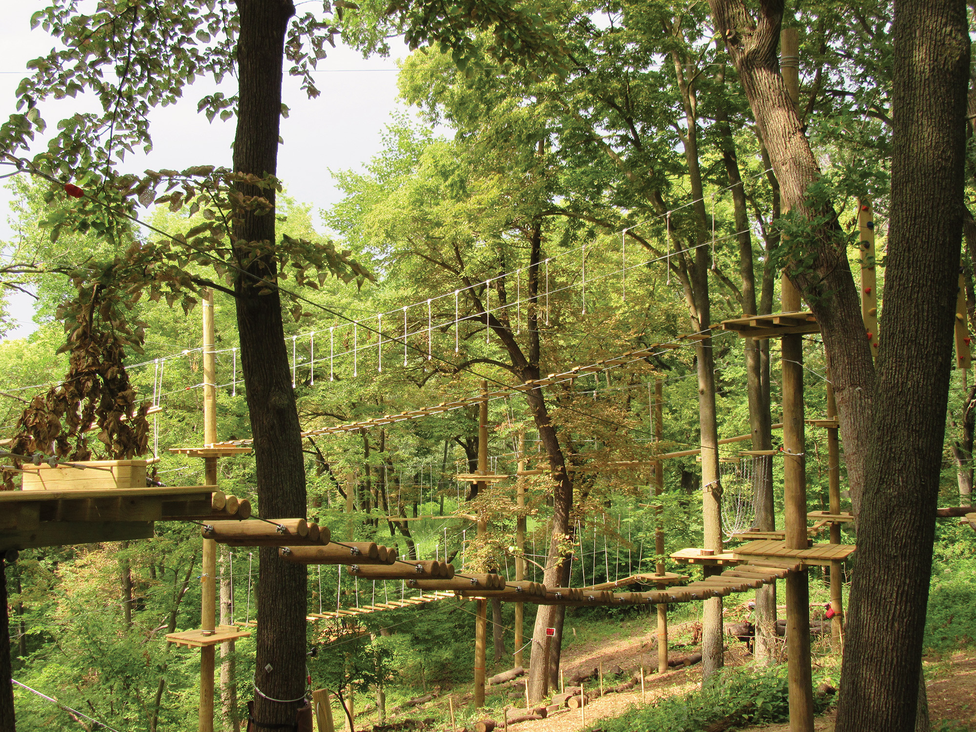 Aerial challenges at TreeRush Adventures at Fontenelle Forest.