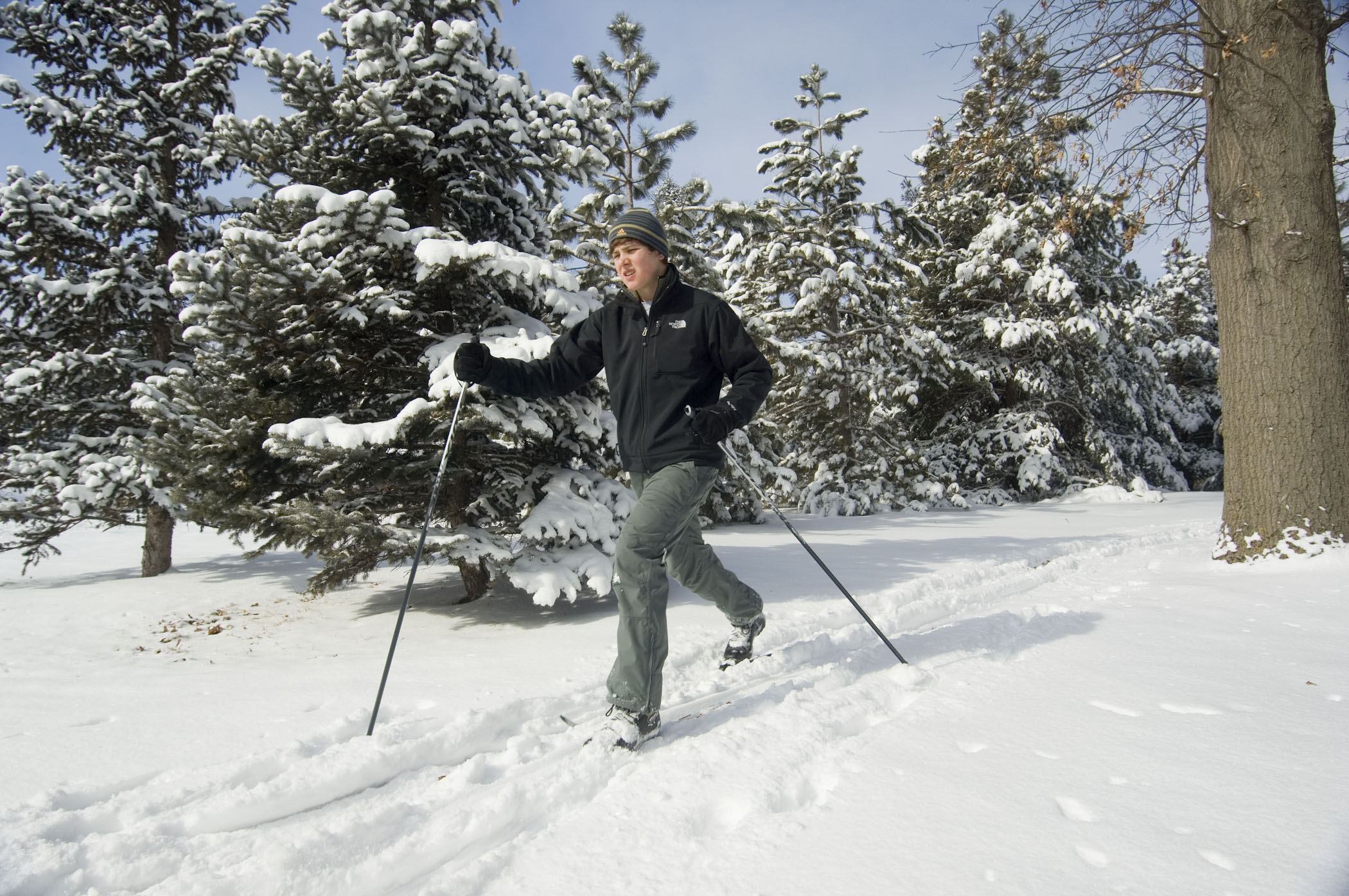 A person cross-country skiing in fresh snow at Pioneers Park in Lincoln, Nebraska