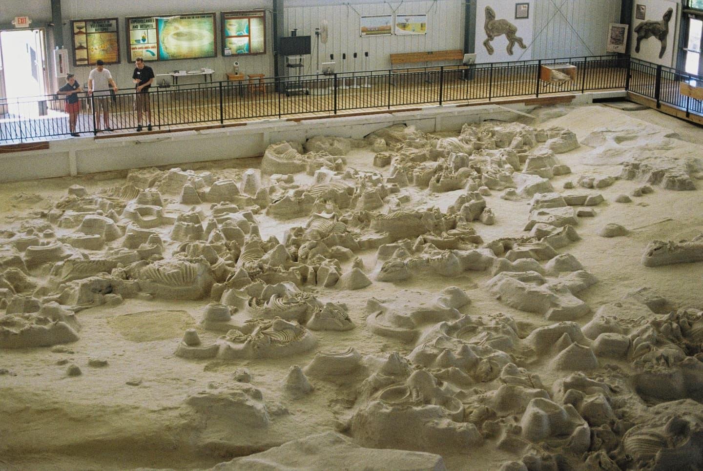 Ashfall Fossil Beds State Historical Park