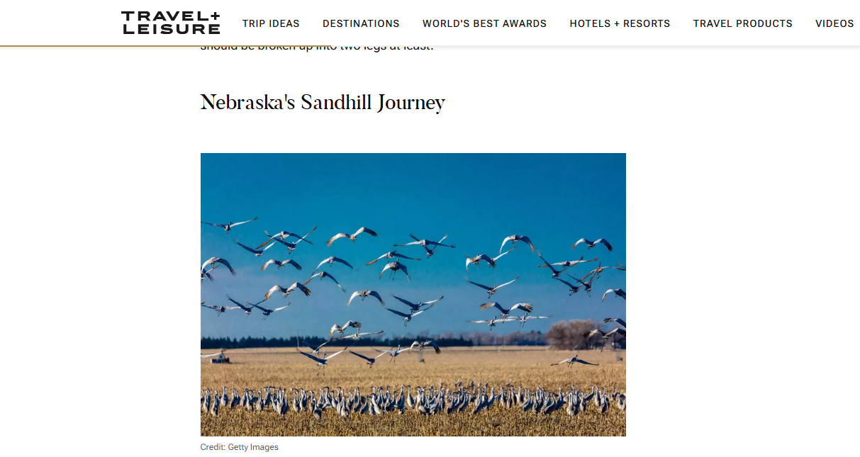 Sandhill Journey