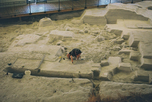 Fossil Beds