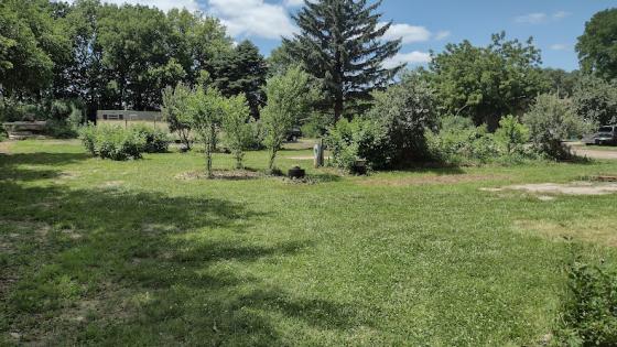 Large campsites with privacy hedge.