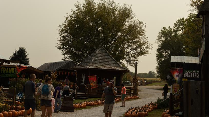 vendors at Roca